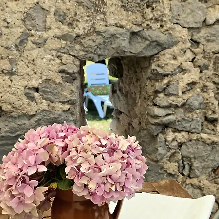 La Casa Gotica - 5815